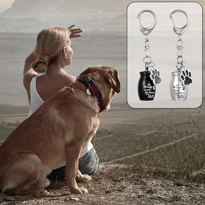 2 Pcs Pet Urns Keychain for Dogs Cats Small Urns for Ashes Keepsake Jewelry Paw Print Memorial Urn Dog Paw Charm Ashes Holder with 2 Storage Bags for Cats Cylinder Cremation Pet Cinder Black Silver