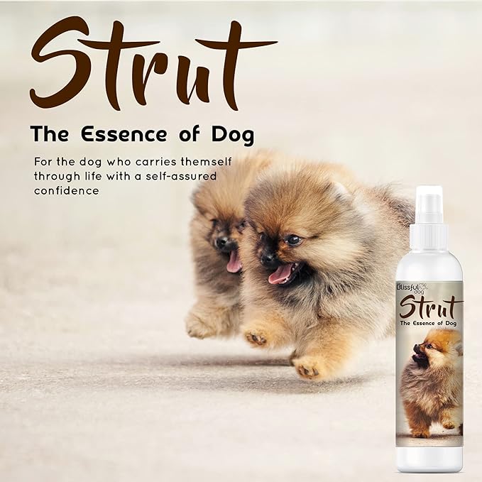 The Blissful Dog Strut Dog Cologne, 8 oz.
