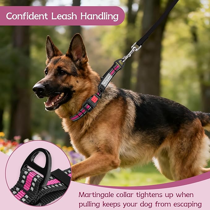 Martingale Collar for Dogs Reflective Collar with Quick Release Buckle, Adjustable Nylon Collars for No Slip Dog Collar, Hot Pink, M