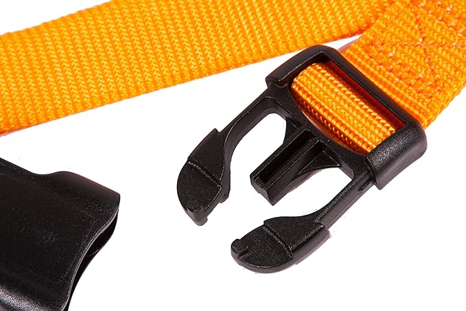GOGO Pet Products 1-Inch Martingale Dog Collar, Large, Orange