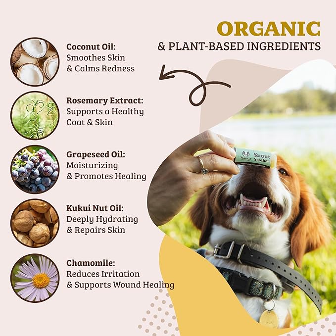 Natural Dog Company Snout Soother Balm – Dog Nose Balm for Dry Cracked Snouts, Moisturizing Winter Nose Care with Coconut Oil & Shea Butter, Lick Safe Dog Snout Balm for All Breeds, 0.15 oz Stick