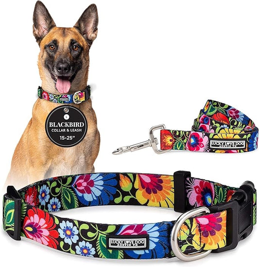 Lucky Love Dog - Easy Click Buckle Dog Collar with Leash Set Combo, Durable & Comfortable for Male & Female Dogs, Pet Collar for Large Dogs, Secure Fit - Blackbird Combo, Large