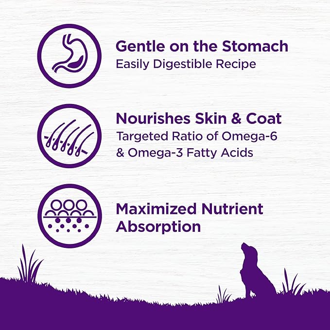 Wellness Complete Health Sensitive Skin & Stomach Dry Dog Food, Wholesome Grains, Salmon & Rice Recipe, (38-Pound Bag)