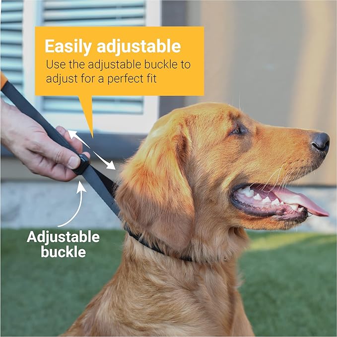SVD.PET Dog Prong Collar for No-Pull Training, Quick-Release Buckle Adjustable Pinch Collar for Small Dogs (Black, Small Size, Suitable Neck Girth 7”-10”)