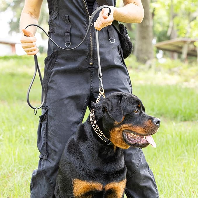 Herm Sprenger Curogan Dog Collar with Short Links and Quick Release ClicLock Buckle and Biothane Insert Made in Germany 20in x 3.0mm (Neck Size up to 16-17in) (Black)