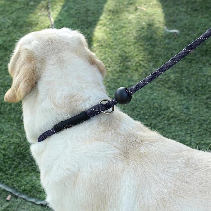 Slip Lead Dog Leash Reflective with Stopper Loop Rope Training No Pull for Medium Large Dogs 5ft Black