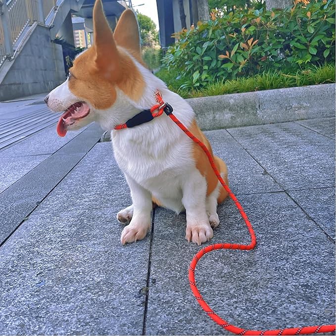 Reflective Long Slip Lead Dog Leash Anti-Choking 12 FT/20 FT/30 FT/50 FT Rope Training Leash for Medium Dogs Small Puppy Pets (12ft, red)