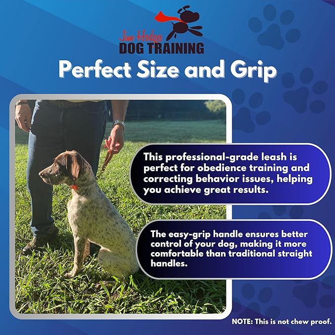 Biothane Training Tab Leash for Dogs, Brass Hardware, No Pull with Easy Grip Handle, Made in The USA, Professional Grade-Brown