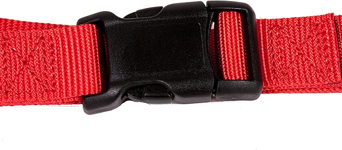 GOGO Pet Products 3/4-Inch Martingale Dog Collar, Medium, Red