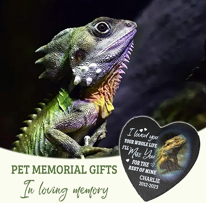 ODB Gifts for Loss of Gecko, Gecko Memorial Stone, Gecko Memorial Gifts, Gecko Loss Gifts, Gecko Head Stones, Cemetery Decorations for Grave, Lizard Grave Marker, Gifts for Gecko Lovers (Gecko)