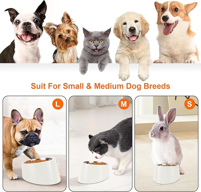 Tilted Dog Bowl Non-Slip & Non-Spill Pet Feeder with Elevated Detachable Melamine Stand, Easy to Get Food Dog Dish, L/300ml White