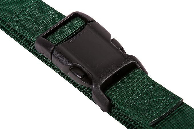 GOGO Pet Products 3/8-Inch Martingale Dog Collar, X-Small, Hunter Green