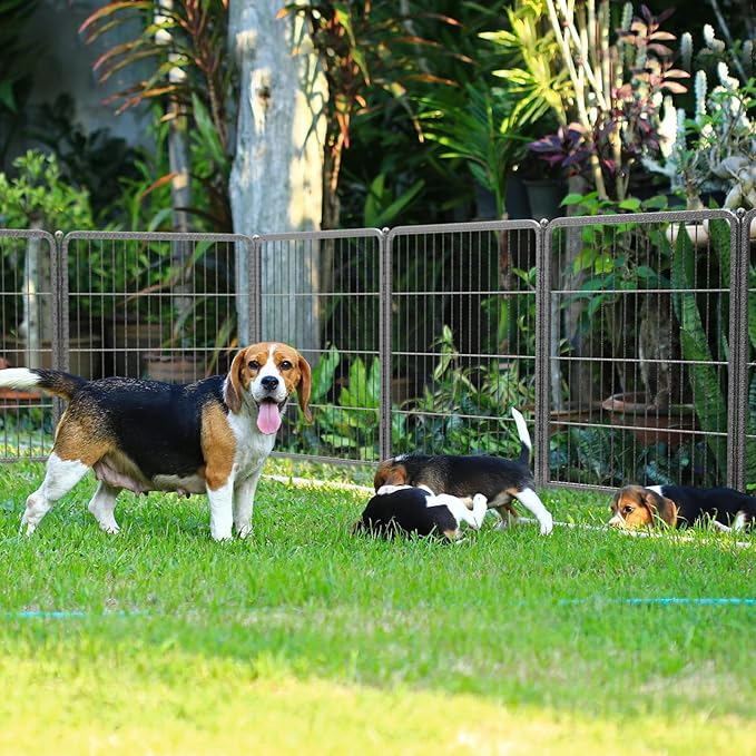 FXW Aster Dog Playpen Designed for Yard, 32inch 32 Panels