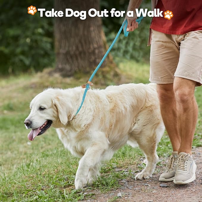 Grand Line Slip Lead Dog Leash - No Pull Training Dog Lead with 5ft Reflective Rope, Durable & Collar-Free for Small, Medium, Large Dogs and Puppies (Blue,L)