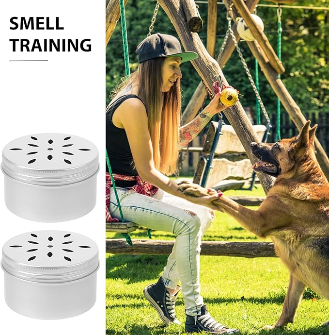 FRCOLOR Dog Training Scent Box 2.67X2.67X1.37In Pet Nose Work Tool for Agility and Behavior Training 10-Pack Dog Scent Equipment