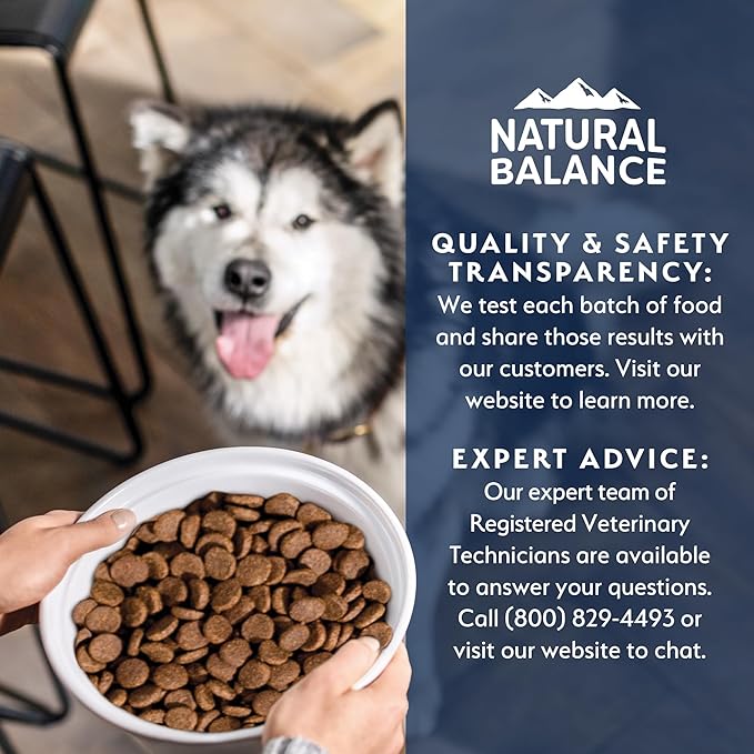 Natural Balance Health Protection Dry Dog Food – Whole Body Health, Easy on Digestion Dog Food Made with Chicken, Brown Rice & Pumpkin for Dogs - 4lbs.