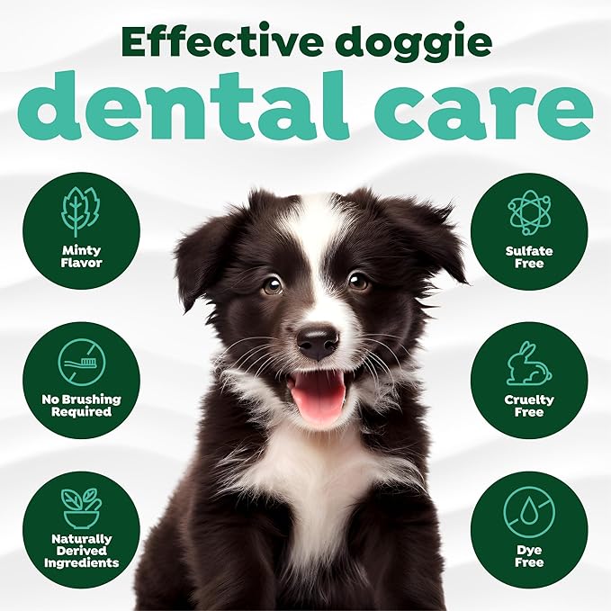 TropiClean Fresh Breath Dog Toothpaste for Teeth Cleaning, Breath Freshener, Easy to Use Plaque & Tartar Remover Gel, No Toothbrush Needed, 2oz.