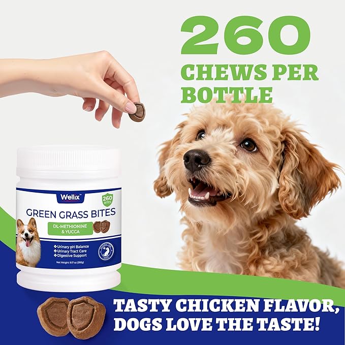 260 Bites Green Grass Bites for Dogs - Grass Savers for Dog Urine, Green Lawn Chews with Crabberry & Probiotic & Digestive Enzymes for Urinary Tract & Bladder - Chicken Flavor