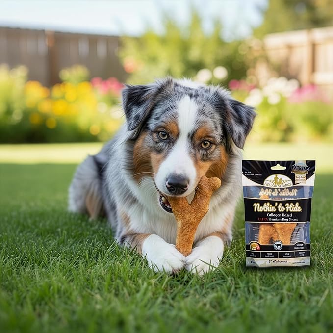 Fieldcrest Farms Nothin' to Hide Collagen-Based Dog Chews, Wishbone, Beef Flavor, Ultra-Premium, for Dogs Over 25lbs, Easily Digestible, Supports Skin, Coat, Joints & Muscles, 5-Inch, 2 Pieces