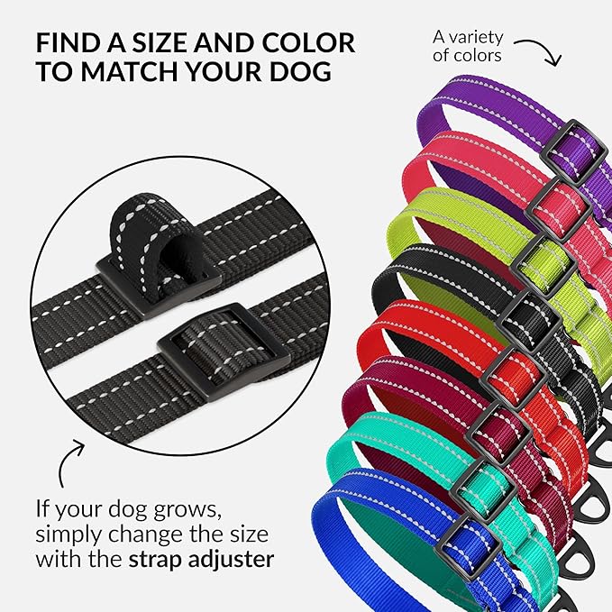 Collardirect Reflective Martingale Dog Collar Nylon Training Collars for Small Medium Large Dogs Puppy Pink Orange Green (L, Neck Size 16"-24", Black)
