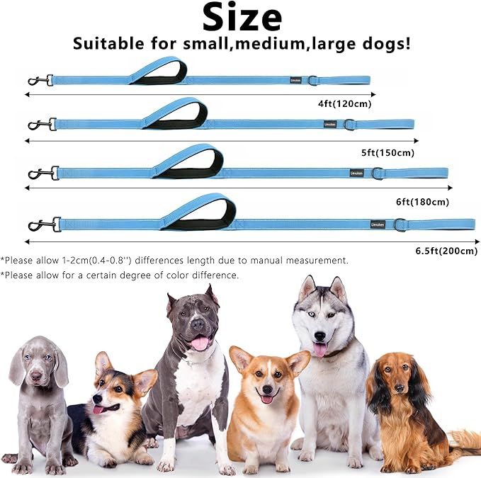 Dog Leash 4ft Long, Double Handle Dog Leash for Safety Control Training, Heavy Duty Dogs Leads with Traffic Padded Handles, Reflective Leashes for Small Medium Large Dogs(4ft, Sky Blue)