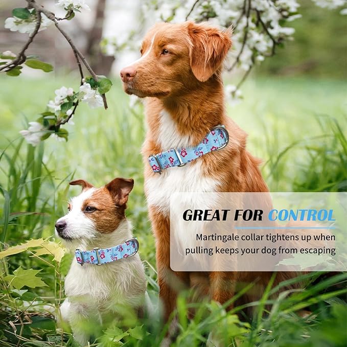Hikiko Martingale Dog Collar with No Buckle Cute Girl Flower Dog Collars Comfortable Nylon Choke Collar for Puppy Dogs,Light Blue Flower,XS