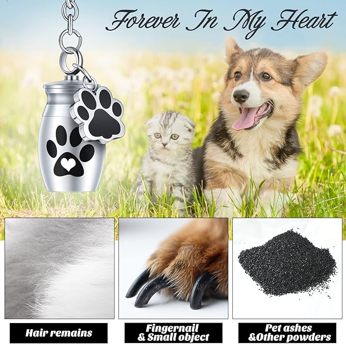 Tudomro 2 Pcs Pet Dog Urns Keychain for Ashes with 2 Storage Bags Small Cat Cremation Keepsake Jewelry Paw Print Memorial Urn