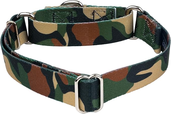 Country Brook Petz - Woodland Camo Martingale Dog Collar - Camouflage Collection Featuring Rugged Designs (1 Inch, Large)