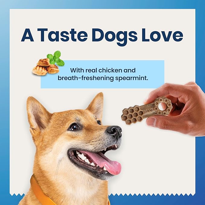 Blue Buffalo Large Dental Chews for Dogs, Daily Dental Care Dog Treats Made in the USA with Natural Ingredients, Chicken & Spearmint (44-oz box, 28 count)