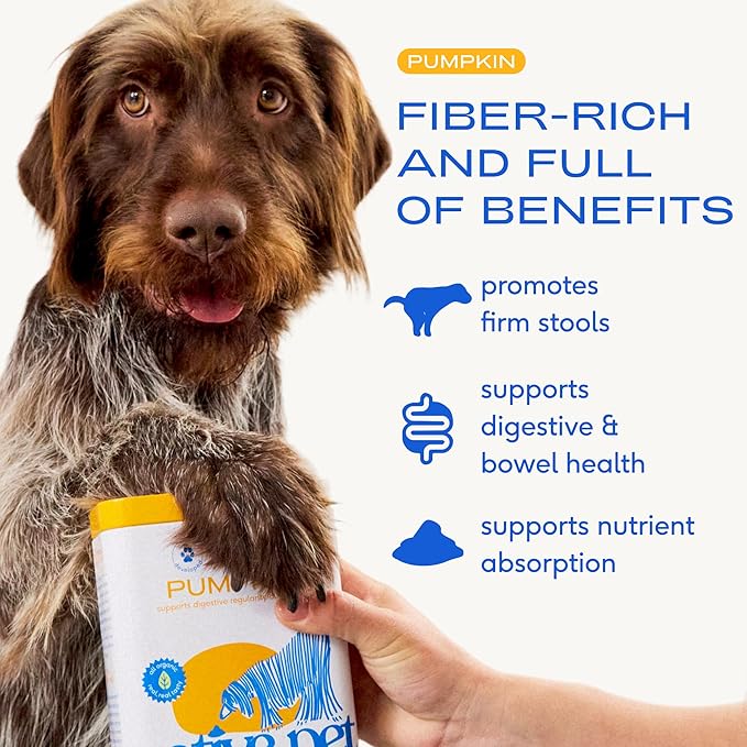Native Pet Pumpkin for Dogs - Organic Dog Food Topper Powder - Promotes Firm Stools, Supports Digestive, Bowel Health & Nutrient Absorption - USDA Organic, Rich in Fiber with Real Pumpkin -120 Scoops