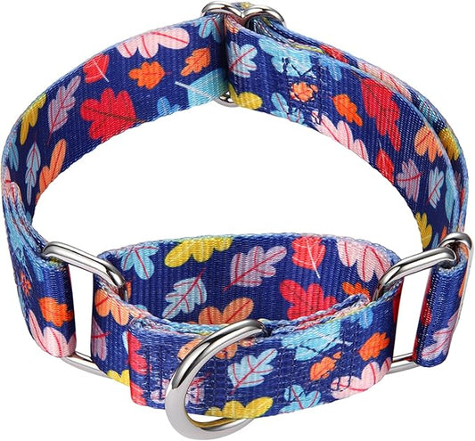 Mikivery Martingale Collar for Dogs 1 inch Sturdy Durable Collars Medium and Large Breed for Walking Training Outdoor Daily Use
