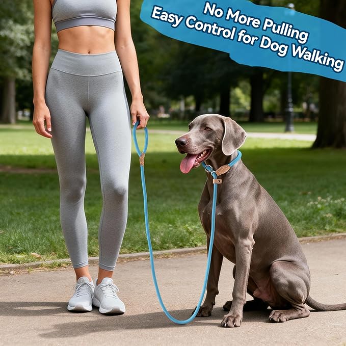 Mile High Life Slip Lead Dog Leash - 4FT, 5FT, 6FT Heavy Duty Rope Leash for No Pull Training, Durable Braided Dog Lead with Leather Stopper & Tip for Medium Large Dogs