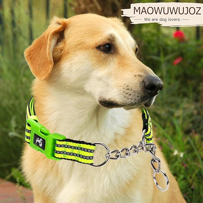 Green Reflective Martingale Dog Collar with Buckle- Night-Safe, Anti-Slip Training Collar Designed for Secure Walks - Medium