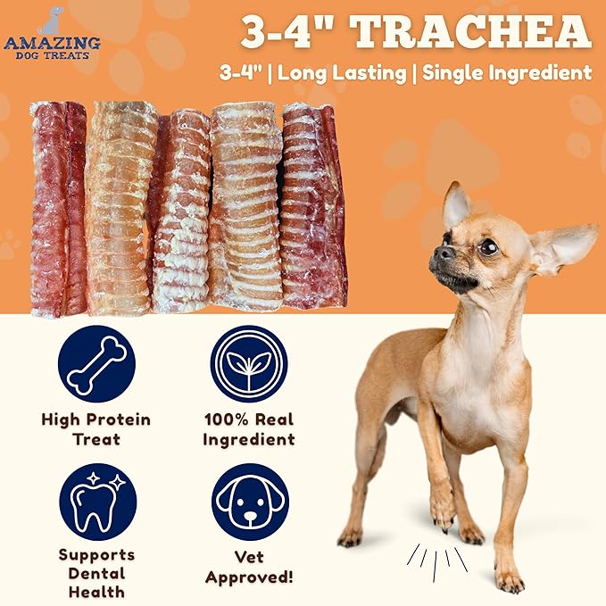 Amazing Dog Treats - Beef Trachea Rings (3-4 Inch, 12 Count) -Premium Dog Chews- Great for Small Size Dogs - Excellent Source of Glucosamine and Chondroitin- Great for All Breeds