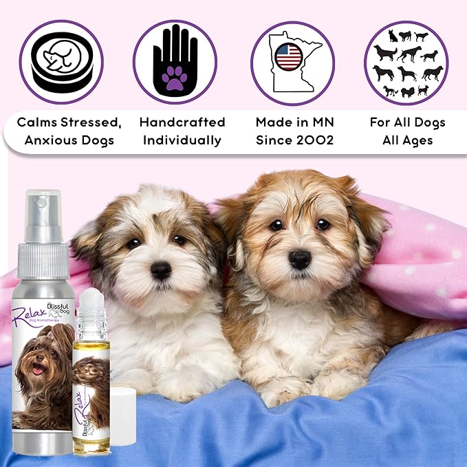 The Blissful Dog Havanese Relax Dog Aromatherapy Spray for Your Dog's Anxiety