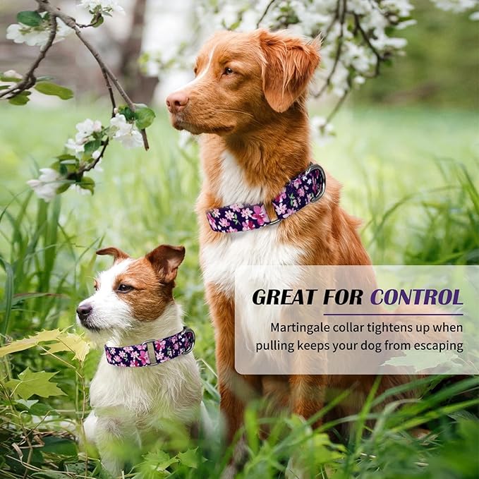 Hikiko Martingale Collar for Dogs with No Buckle Purple Floral Female Dog Collar Cute Girl Dog Collars for Small Dogs,Japanese Purple,S