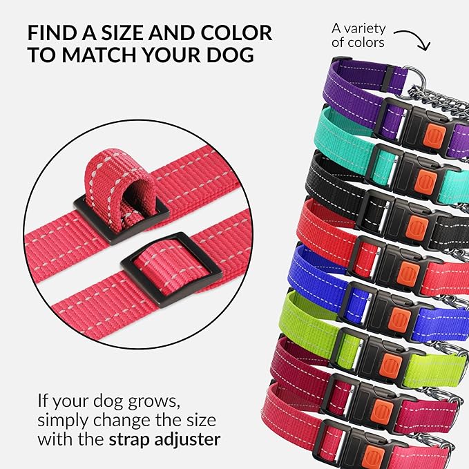CollarDirect Martingale Dog Collar with Stainless Steel Chain and Quick Release Buckle - Reflective Collar for Large, Medium, Small Dogs - Pink, Large (Neck Size 17"-22")