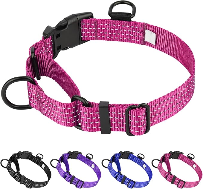 Martingale Dog Collars, Adjustable Reflective Nylon Dog Collar for Training Dogs, No Pull Dog Choker Collar for Medium Large Dogs (L, Hot Pink)