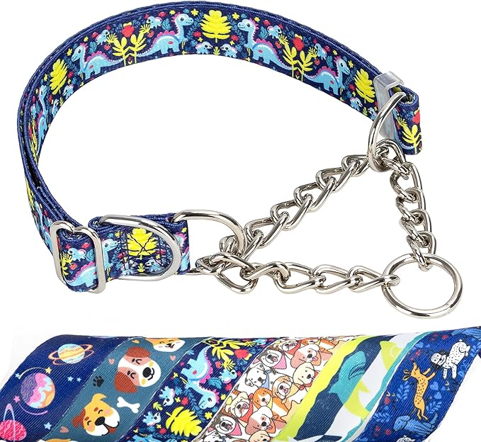 Martingale Dog Collar with Chain, Reflective Adjustable Training Collar with Dinosaur Design for Medium, Large, XL Dogs(Dinosaur Medium)