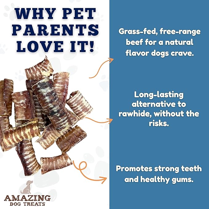 Amazing Dog Treats - Beef Trachea Rings (3-4 Inch, 12 Count) -Premium Dog Chews- Great for Small Size Dogs - Excellent Source of Glucosamine and Chondroitin- Great for All Breeds