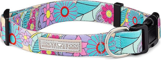Lucky Love Dog Collars, Cute Small Dog Collars for Female Dogs, Part of Purchase Donated to Rescue, Caroline, Small