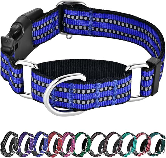 Hikiko Martingale Collar for Dogs Reflective Nylon Dog Collar with Quick Release Buckle Adjustable Training No Slip Dog Collar (Small, Blue)