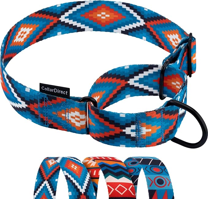 CollarDirect Aztec Martingale Collars for Dogs Heavy Duty Tribal Pattern Safety Nylon Training Collar Large Medium Small (Blue Geometric, L, Neck Size 15"-20")