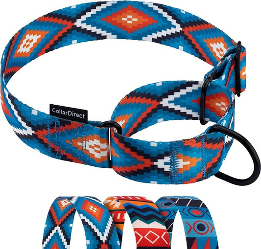 CollarDirect Aztec Martingale Collars for Dogs Heavy Duty Tribal Pattern Safety Nylon Training Collar Large Medium Small (Blue Geometric, L, Neck Size 15"-20")