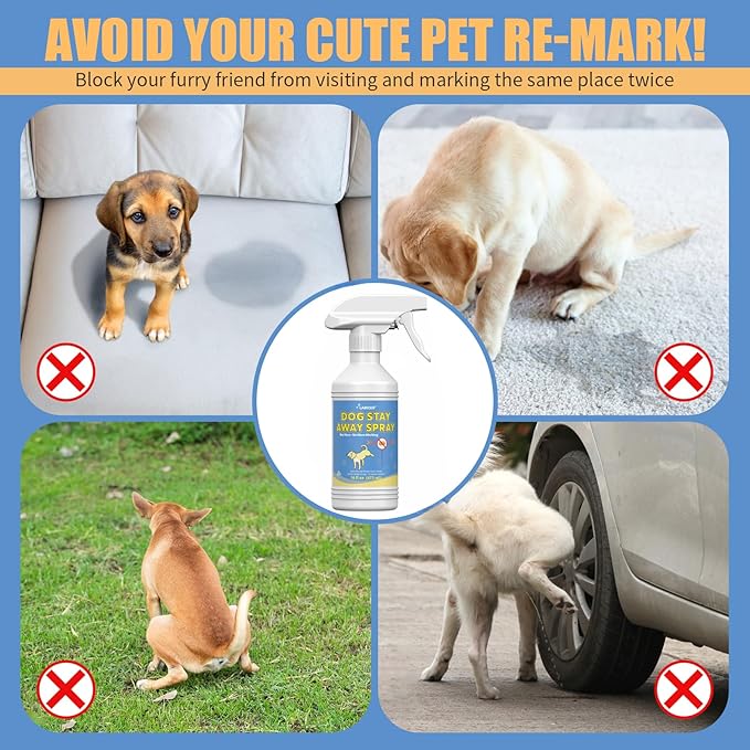 16 Oz Natural Spray to Help Stop Dogs from Marking Indoors - Stop Dog Marking with Natural Training Spray