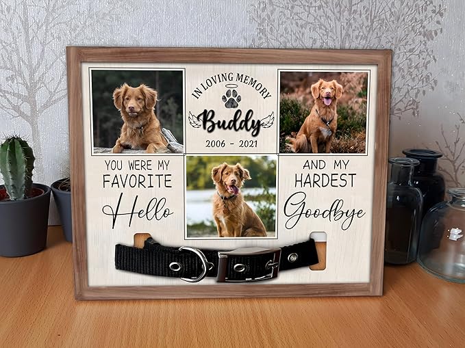 Personalized Memorial Pet Collar With Photo Plaque, Custom Memorial Frame For Loss Of Dog, Dog Loss Sympathy Gift, Pet Loss Gift