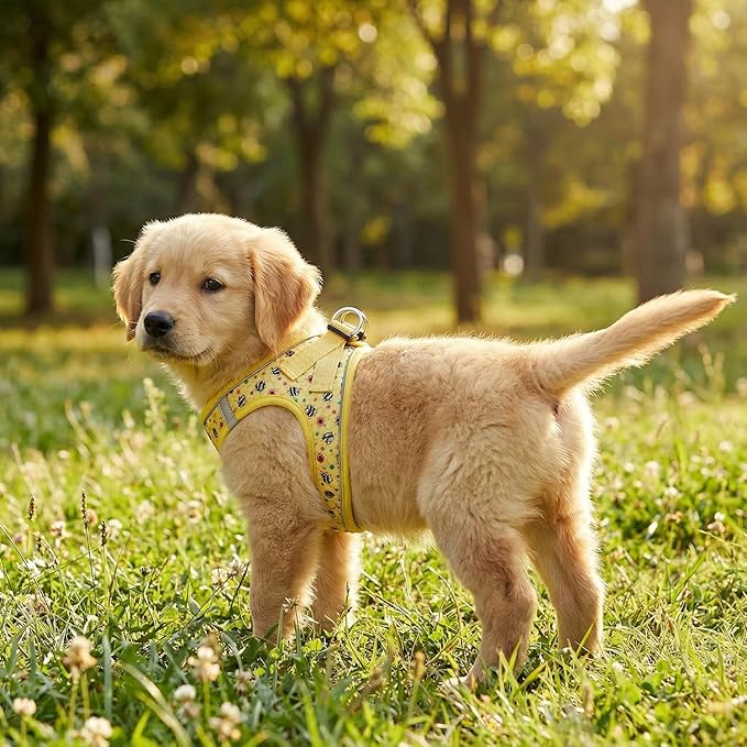 Step in Dog Harness and Leash Set, Reflective Adjustable No Pull Dog Harness for Extra-Small/Small Dogs Puppy and Cats, Soft Padded Mesh Vest Harnesses for Girl and Boy Pets(Bee,S)