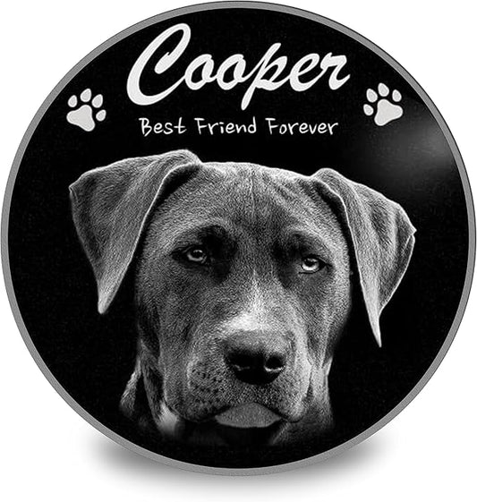 ADFSTONE 8" Pet Memorial Stones Personalized Dog Remembrance Gifts, Customized Cat Picture Grieving Plaque, DIY Gravestone, Custom Sympathy Photo Gift, Animal Grave Markers