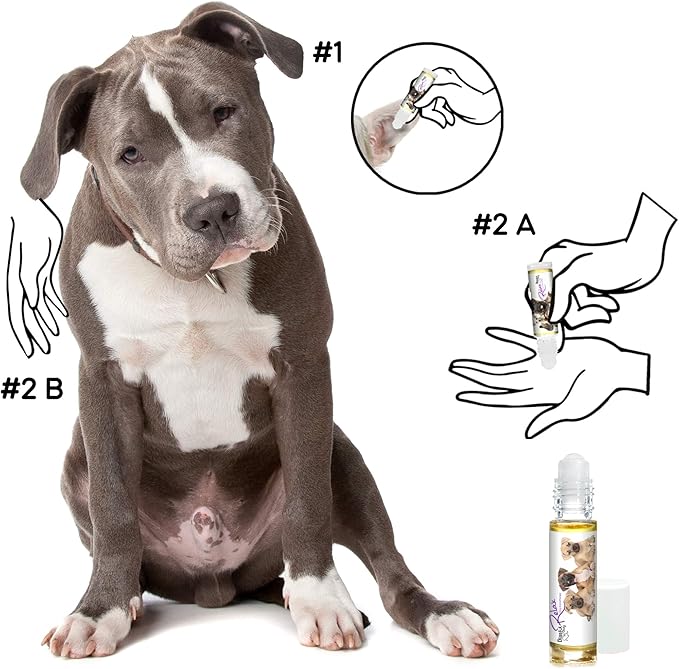 The Blissful Dog American Staffordshire Terrier Relax Roll-ON Aromatherapy for Dogs - Anxiety Relief for Dogs