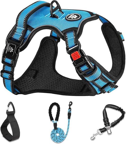 NESTROAD No Pull Dog Vest Harness with Leash, Adjustable Reflective Oxford Pet Harness with Easy Control Handle for Small Dogs, Blue